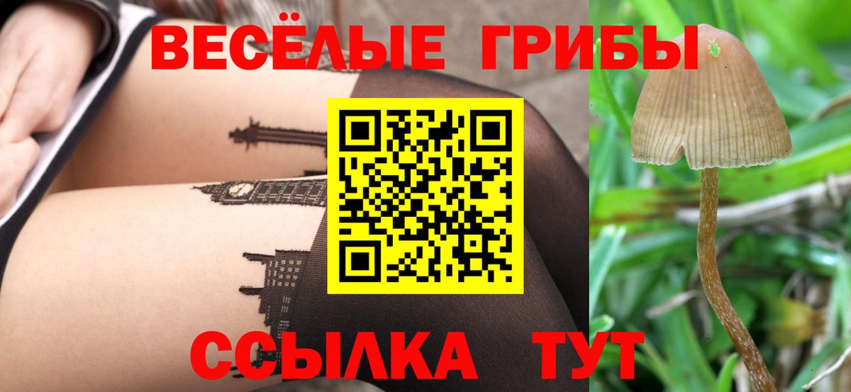Гуково  Псилоцибиновые грибы Magic Shrooms  Псилоцибиновые грибы Magic Shrooms  Вход с VPN 